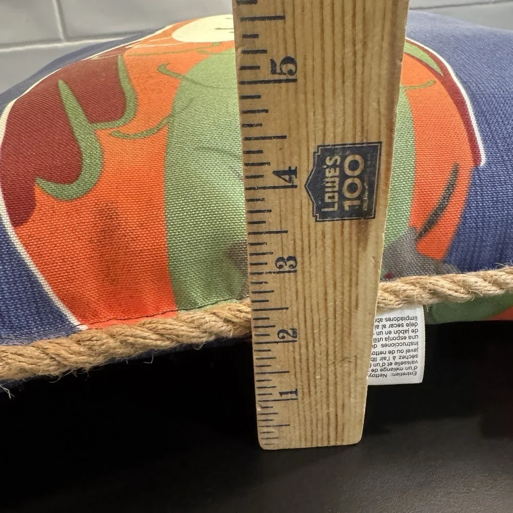 Parrot Outdoor Pillow by Allen & Roth 16x16 Blue with‎ Rope Trim Tropical Bird